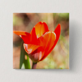 Red Tulip Blossom Vierkante Button 5,1 Cm