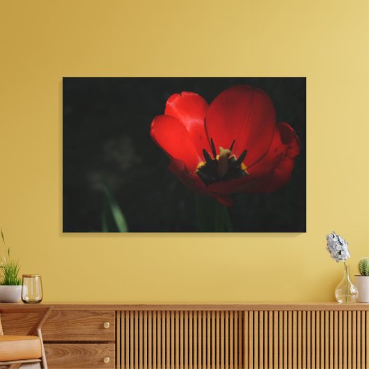 Red Tulip Canvas Afdruk (Insitu (Woonkamer))