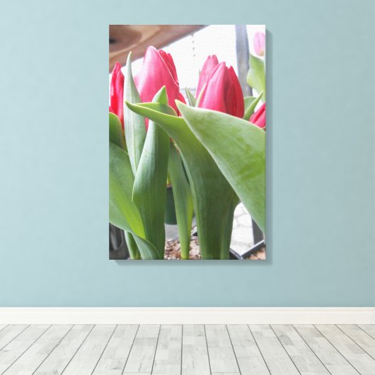 Red Tulip Canvas Afdruk (Insitu (Houten vloer))