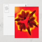 Red Tulip Center Briefkaart (Voorkant / Achterkant)
