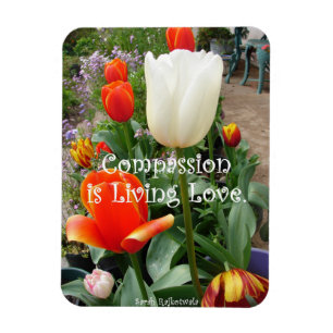 Red Tulip Compassion Quote Flowers foto Magnet Magneet