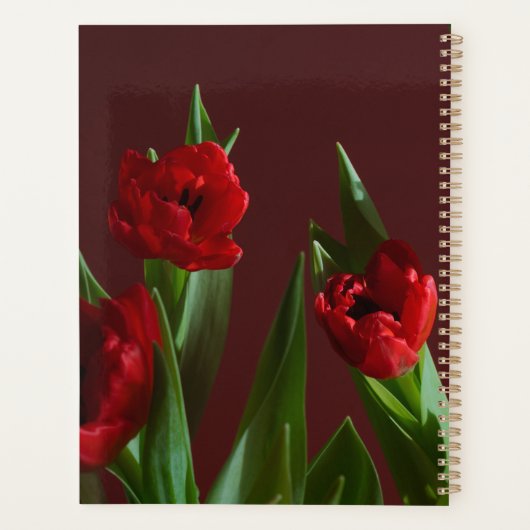 Red Tulip Dreams Planner (Achterkant)