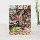 Red Tulip en Old Wagon Birthday Kaart (Voorkant)