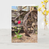 Red Tulip en Old Wagon Birthday Kaart (Gele Bloem)