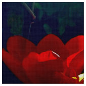 Red Tulip Fabric Stof (Close Up)