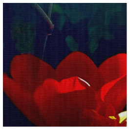 Red Tulip Fabric Stof