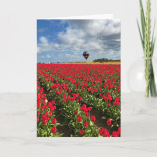 Red Tulip Field met Hot Air Ballon Kaart