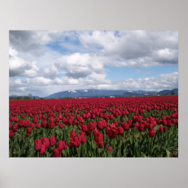 Red Tulip Field Poster