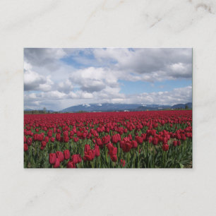 Red Tulip Field Visitekaartje