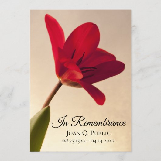 Red Tulip Flower Spring begrafenis herdenkingsdien Programmakaart (Voorkant)