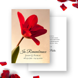 Red Tulip Flower Spring Begrafenis Memorial Sympat Bedankkaart