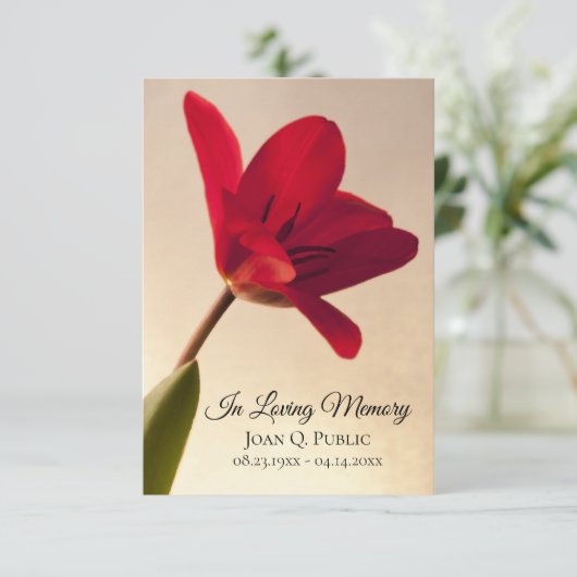 Red Tulip Flower Spring Begrafenis Memorial Sympat Bedankkaart (Staand voorkant)