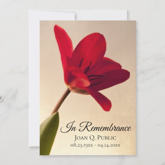 Red Tulip Flower Spring Death Jubileum Memorial Kaart (Voorkant)
