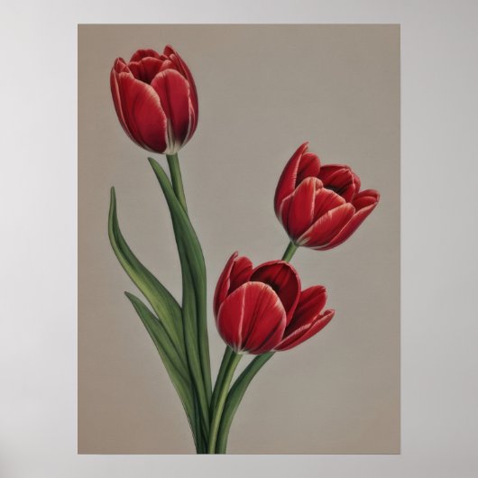 Red Tulip Flowers Poster (Voorkant)