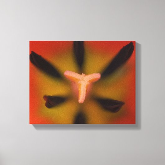 Red Tulip Flowers sluiten dicht Canvas Afdruk (Voorkant)
