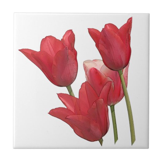 Red Tulip Flowers Tegeltje (Voorkant)
