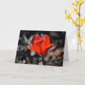 Red Tulip, kaart (Gele Bloem)
