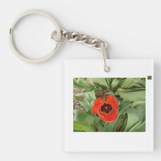 Red Tulip KeyChain (Voorkant)