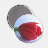 Red Tulip Magnet (Voorkant / Achterkant)
