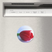 Red Tulip Magnet (Insitu (Vaatwasser))