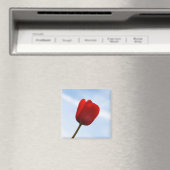 Red Tulip Magnet (Insitu (Vaatwasser))