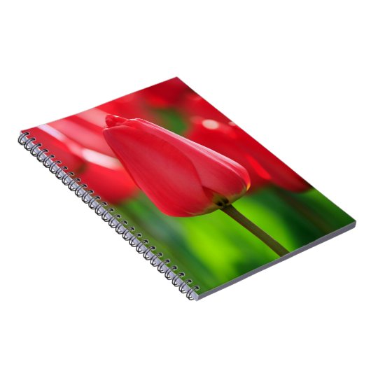 Red Tulip Notitieboek (Rechterzijde)
