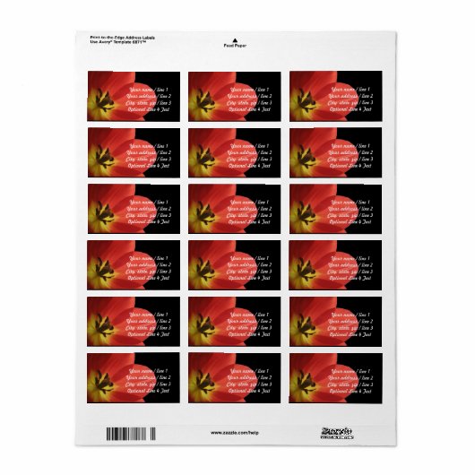 Red Tulip op zwart | Aangepast retouradres Etiket (Full Sheet)