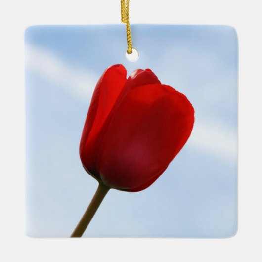 Red Tulip Ornament (Voorkant)