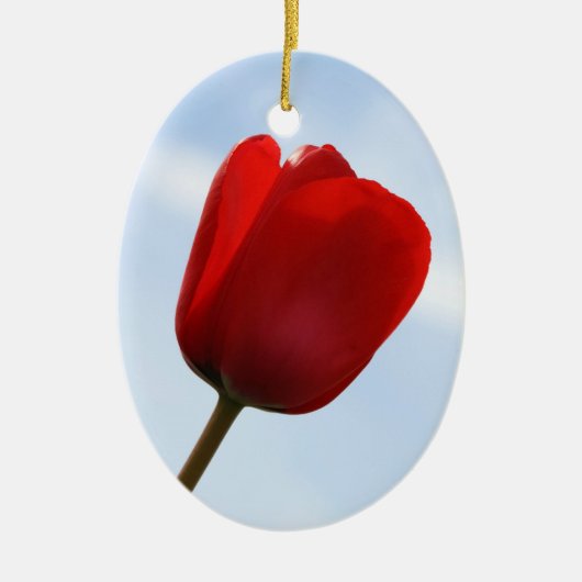 Red Tulip Ornament (Voorkant)