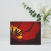 Red Tulip Post Card Briefkaart (Staand voorkant)