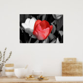 Red Tulip Poster (Keuken)