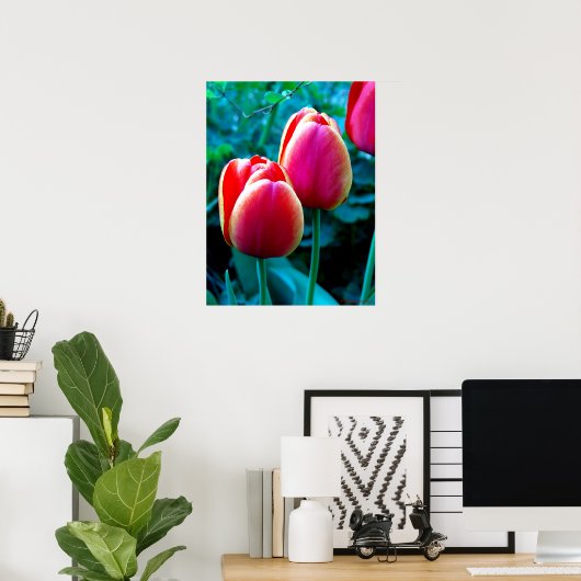 Red Tulip Poster (Thuiskantoor)