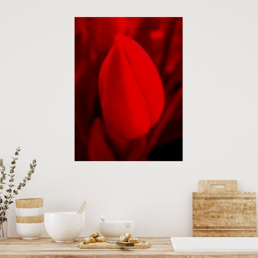 RED TULIP-Poster Poster (Keuken)