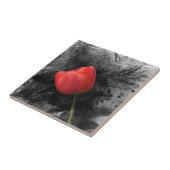 Red Tulip Tegel Tegeltje (Zijkant)