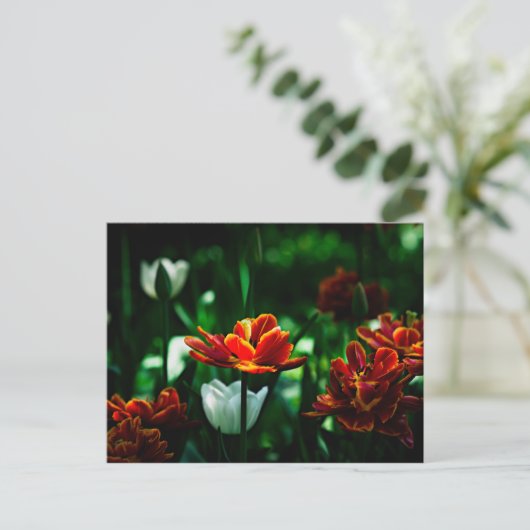 Red Tulip - Zijne Majesteit de Koning Briefkaart (Staand voorkant)