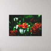 Red Tulip - Zijne Majesteit de Koning Canvas Afdruk (Voorkant)