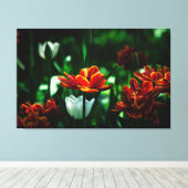 Red Tulip - Zijne Majesteit de Koning Canvas Afdruk (Insitu (Houten vloer))