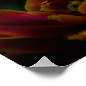 Red Tulip - Zijne Majesteit de Koning Poster (Hoek)