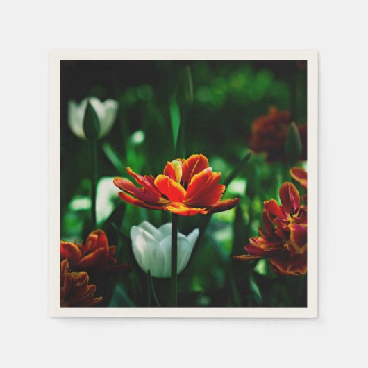 Red Tulip - Zijne Majesteit de Koning Servetten (Voorkant)
