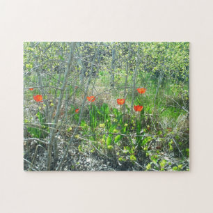 Red Tulips Aspen Trees Jigzaag Puzzle   Uitdaging Legpuzzel