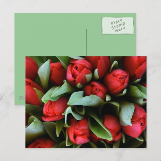 Red Tulips Bouquet Briefkaart (Voorkant / Achterkant)