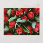 Red Tulips Bouquet Briefkaart (Voorkant)