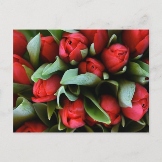Red Tulips Bouquet Briefkaart (Voorkant)