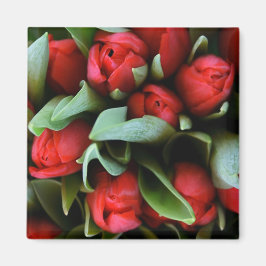 Red Tulips Bouquet Magneet