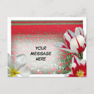 Red Tulips Field en Red White Tulips DIY Briefkaar Briefkaart