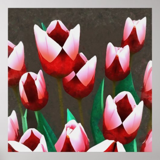 Red Tulips Floral Abstract Poster (Voorkant)