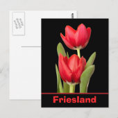 Red Tulips Friesland Briefkaart (Voorkant / Achterkant)
