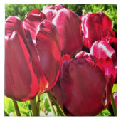 Red Tulips keramische tegels Tegeltje (Voorkant)