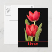 Red Tulips Lisse Briefkaart (Voorkant / Achterkant)