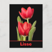 Red Tulips Lisse Briefkaart (Voorkant)